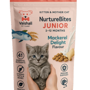 NurtureBites Junior (2–12 Months) Dry Cat Food – Mackerel Flavour